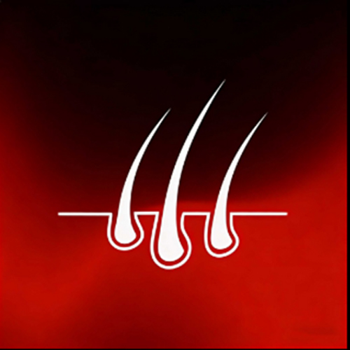 Implanted hair - Synthetic [+$  168]